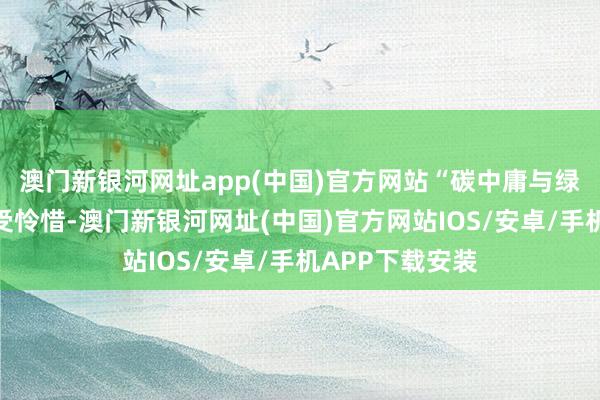 澳門新銀河網址app(中國)官方網站“碳中庸與綠色轉型之是以受憐惜-澳門新銀河網址(中國)官方網站IOS/安卓/手機APP下載安裝