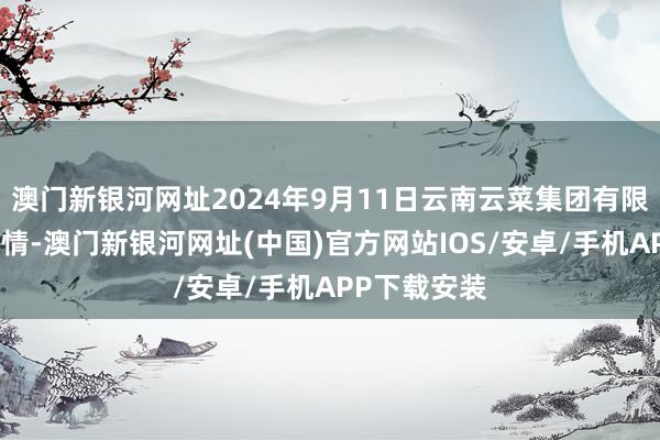 澳門新銀河網址2024年9月11日云南云菜集團有限公司價錢行情-澳門新銀河網址(中國)官方網站IOS/安卓/手機APP下載安裝