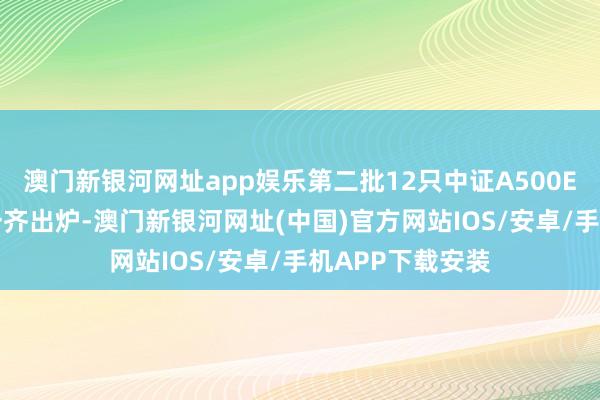 澳門新銀河網址app娛樂第二批12只中證A500ETF的配售后果一齊出爐-澳門新銀河網址(中國)官方網站IOS/安卓/手機APP下載安裝