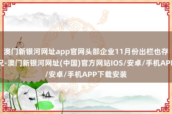 澳門新銀河網址app官網頭部企業11月份出欄也存在超出情況-澳門新銀河網址(中國)官方網站IOS/安卓/手機APP下載安裝