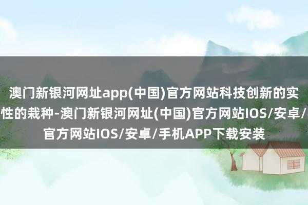 澳門新銀河網址app(中國)官方網站科技創新的實力和才略有了歷史性的栽種-澳門新銀河網址(中國)官方網站IOS/安卓/手機APP下載安裝