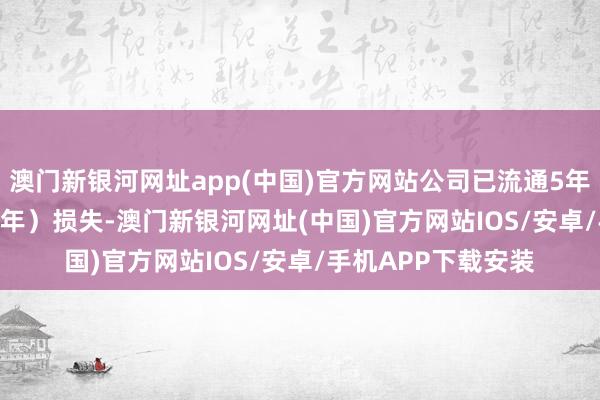 澳門新銀河網址app(中國)官方網站公司已流通5年（2019年至2023年）損失-澳門新銀河網址(中國)官方網站IOS/安卓/手機APP下載安裝