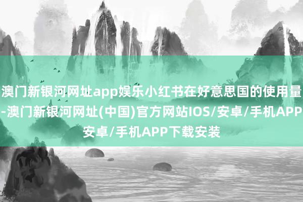 澳門新銀河網址app娛樂小紅書在好意思國的使用量趕緊著落-澳門新銀河網址(中國)官方網站IOS/安卓/手機APP下載安裝