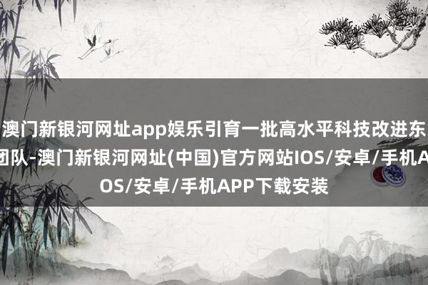 澳門新銀河網址app娛樂引育一批高水平科技改進東說念主才及團隊-澳門新銀河網址(中國)官方網站IOS/安卓/手機APP下載安裝